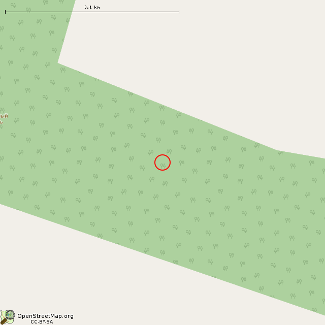 Карта где находится Солнечный камень (Päiväkivi) в крупном масштабе