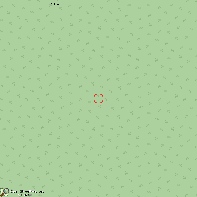 Карта где находится Камень Желаний в крупном масштабе