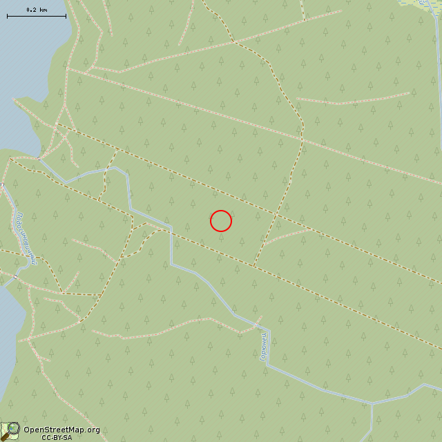 Карта где находится Камень в среднем масштабе