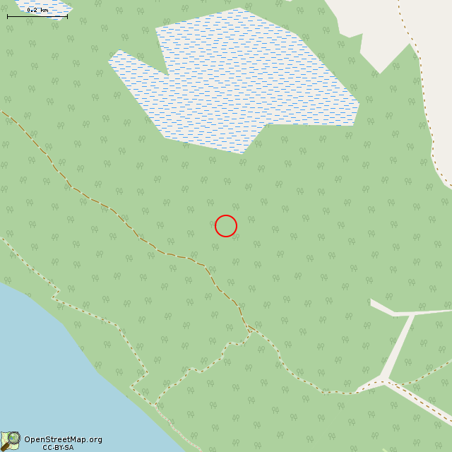 Карта где находится Воронка с камнем     | лес, камень, взрывная воронка в среднем масштабе