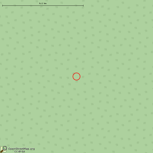Карта где находится Воронка с камнем     | лес, камень, взрывная воронка в крупном масштабе