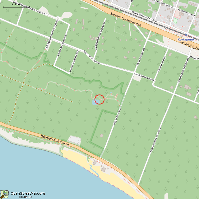 Карта где находится Камень (Санкт-Петербург) в среднем масштабе