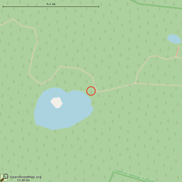 Карта где находится Камень (Санкт-Петербург) в крупном масштабе