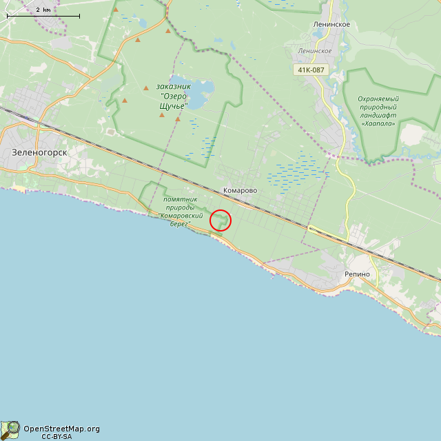 Карта где находится Камень (Санкт-Петербург) в мелком масштабе