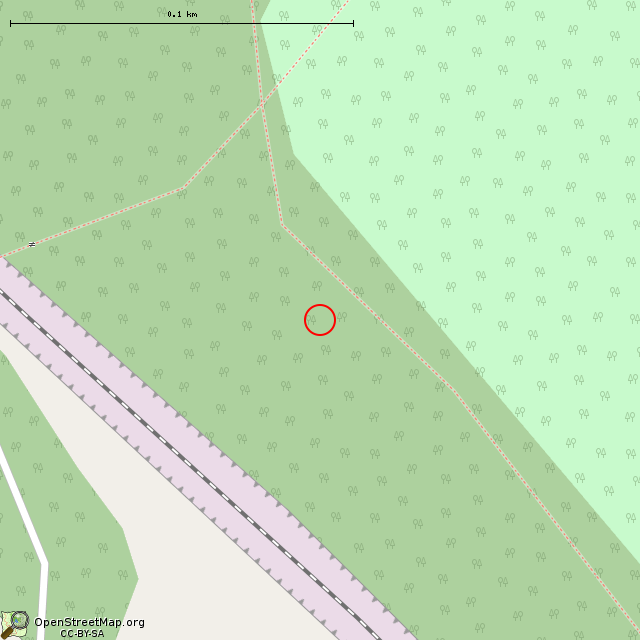 Карта где находится Камень ежик (Выборг) в крупном масштабе