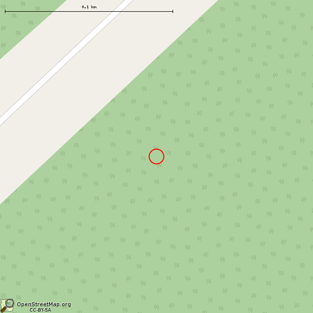 Карта где находится Камень в крупном масштабе