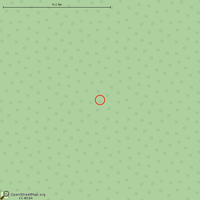 Карта где находится Урочище Большой Камень в крупном масштабе