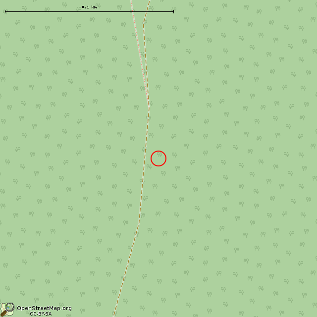 Карта где находится Медведь-камень в крупном масштабе