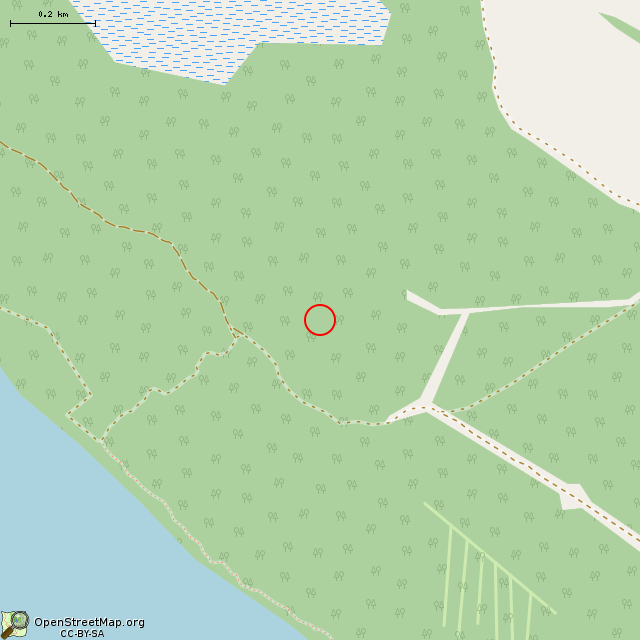 Карта где находится Камень в трех соснах в среднем масштабе