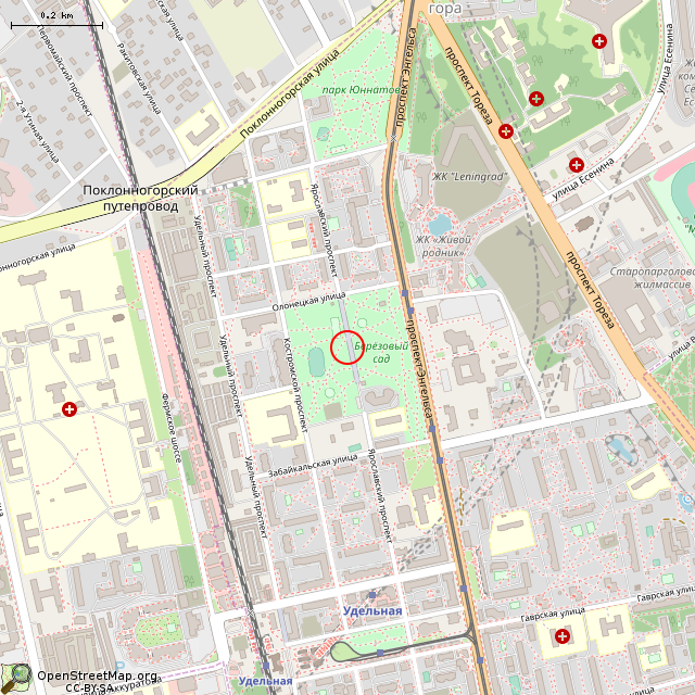 Карта где находится Камни (Санкт-Петербург) в среднем масштабе