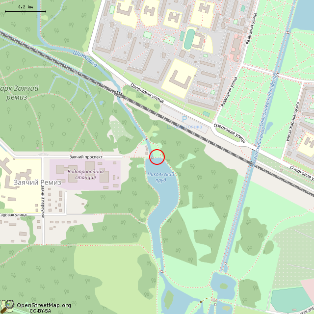 Карта где находится Руины Сельского Никольского Домика (Санкт-Петербург) в среднем масштабе