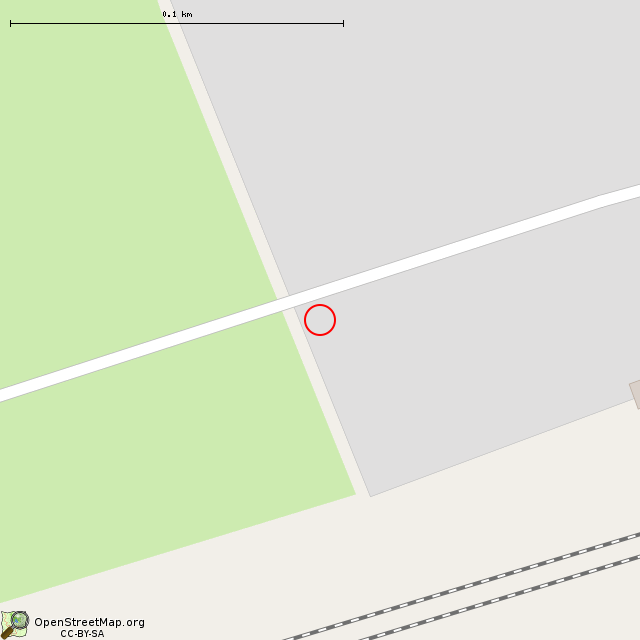 Карта где находится Камни (Назия) в крупном масштабе