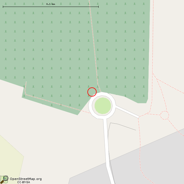 Карта где находится Камень-информатор в крупном масштабе