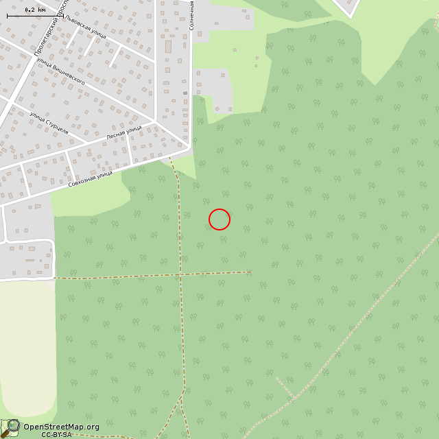 Карта где находится Большой камень в среднем масштабе
