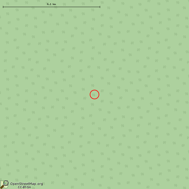 Карта где находится Большой камень в крупном масштабе