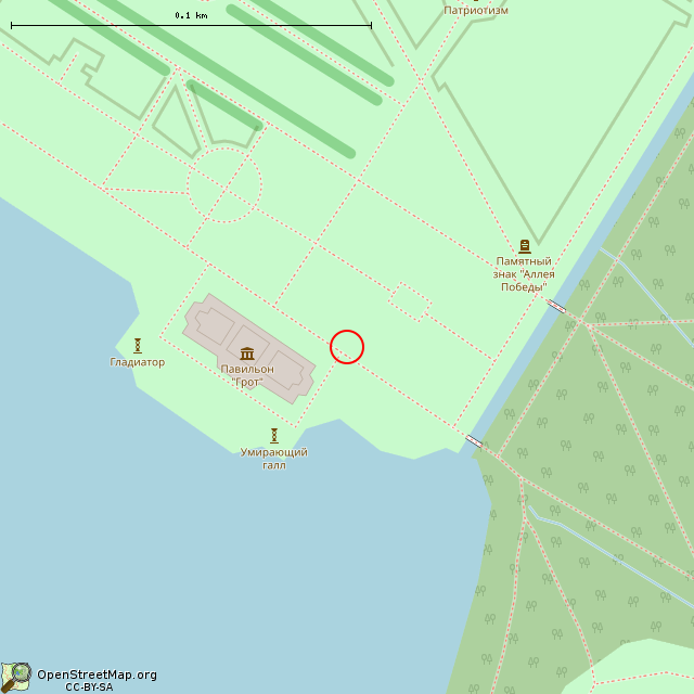 Карта где находится Бюст (Санкт-Петербург) в крупном масштабе