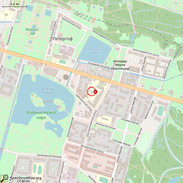 Карта где находится Часовня (Санкт-Петербург) в среднем масштабе