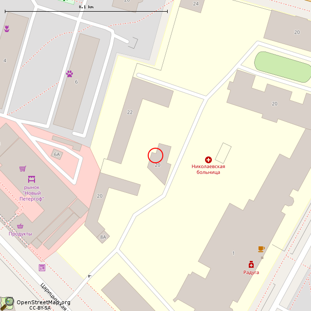 Карта где находится Часовня (Санкт-Петербург) в крупном масштабе