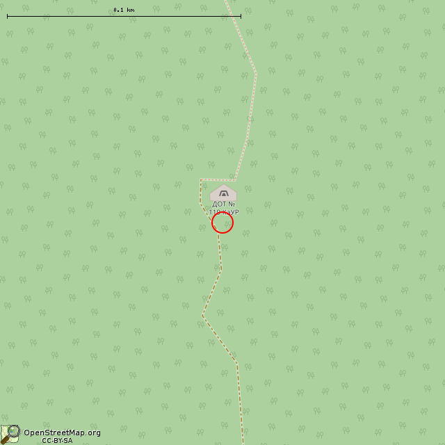 Карта где находится ДОТ № 119 КаУР (Санкт-Петербург) в крупном масштабе