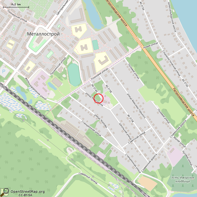 Карта где находится Бак (Санкт-Петербург) в среднем масштабе