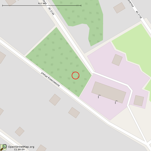 Карта где находится Бак (Санкт-Петербург) в крупном масштабе