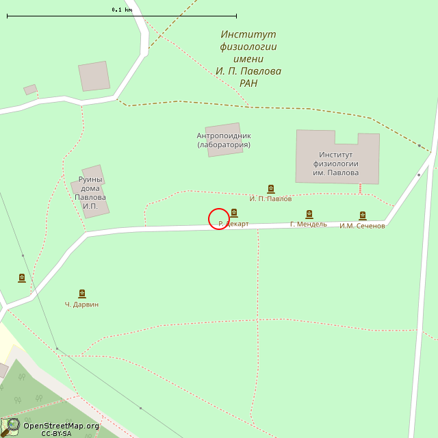 Карта где находится Бюст Рене Декарта (Павлово) в крупном масштабе