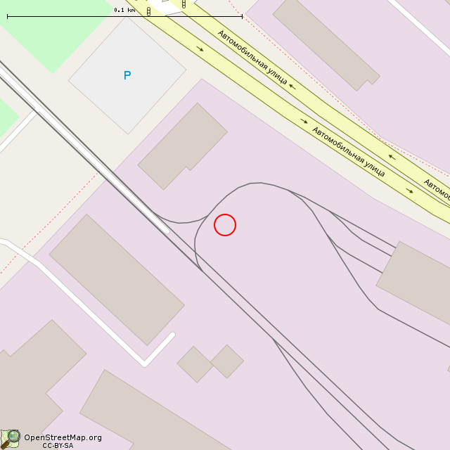 Карта где находится Бюст (Санкт-Петербург) в крупном масштабе