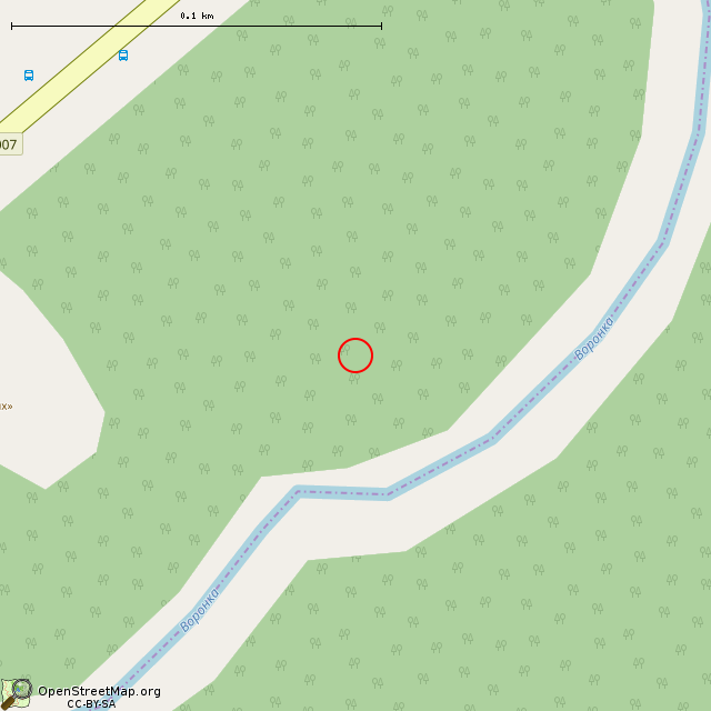 Карта где находится Памятный знак на рубеже обороны (Сосновый Бор) в крупном масштабе