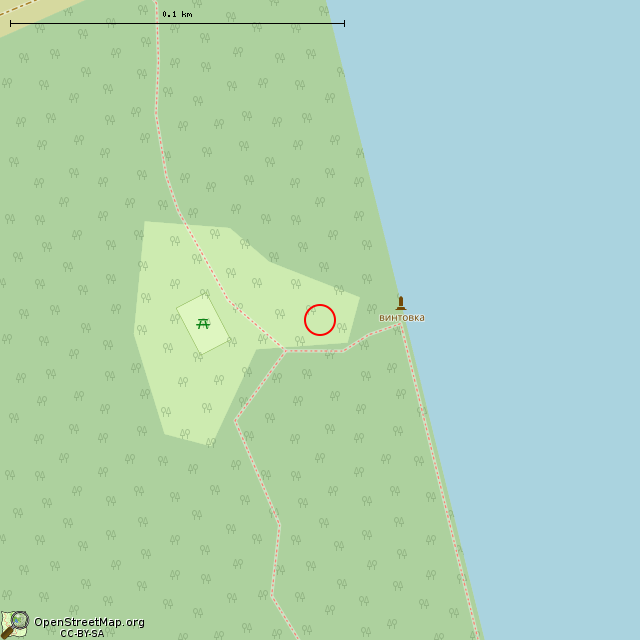 Карта где находится Винтовка в крупном масштабе