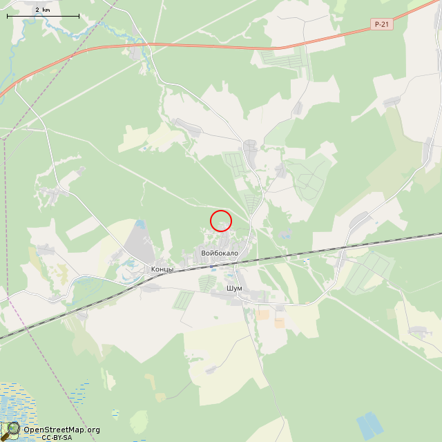 Карта где находится Братская могила советских воинов и ленинградцев в мелком масштабе