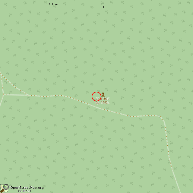 Карта где находится Мемориал в Нижнем Тортолово в крупном масштабе