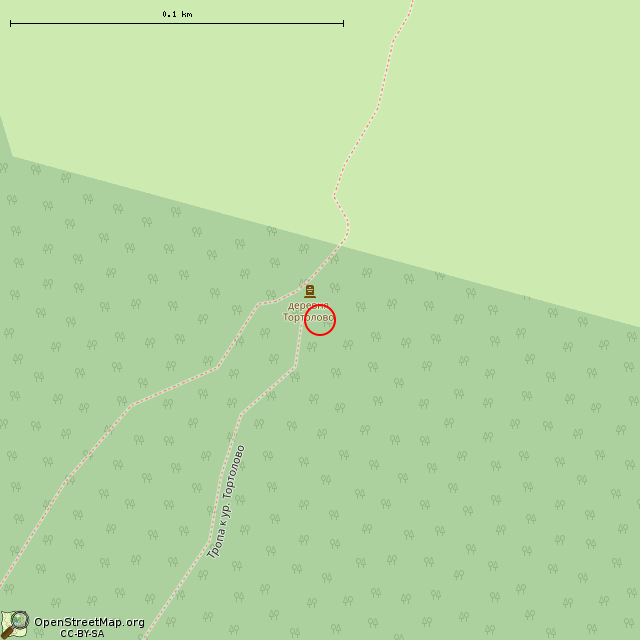 Карта где находится Памятник и захоронения в дер. Тортолово     | Вторая мировая война, военный памятник / мемориал, воинское захоронение в крупном масштабе