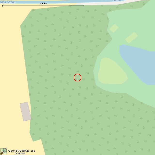Карта где находится Руина железобетонного сооружения (Санкт-Петербург) в крупном масштабе