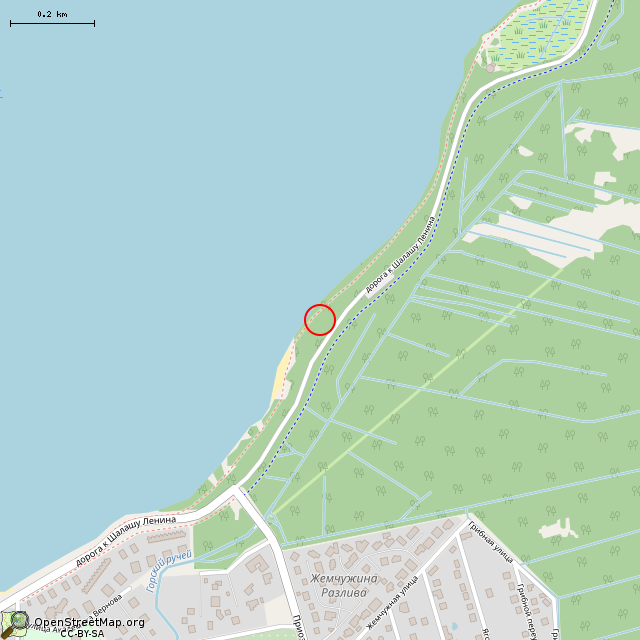 Карта где находится Памятник женщинам-фронтовикам (Санкт-Петербург) в среднем масштабе