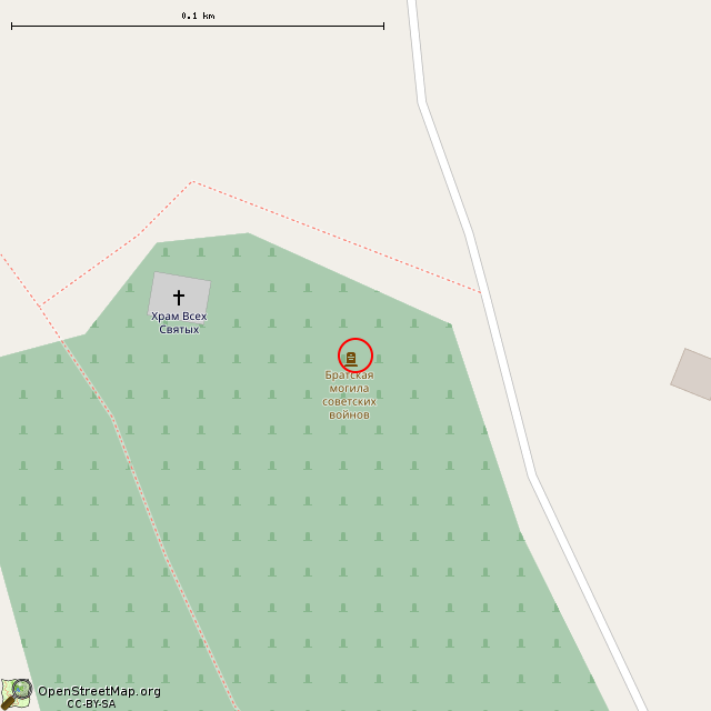 Карта где находится Большеижорское мемориальное кладбище (Большая Ижора) в крупном масштабе