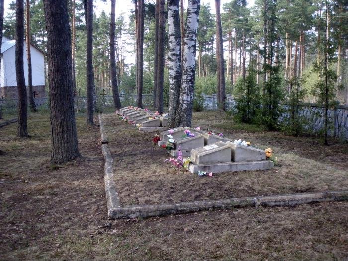 Большеижорское мемориальное кладбище (Большая Ижора)