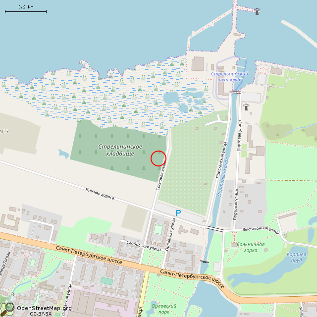 Карта где находится Братская могила советских воинов (Санкт-Петербург) в среднем масштабе