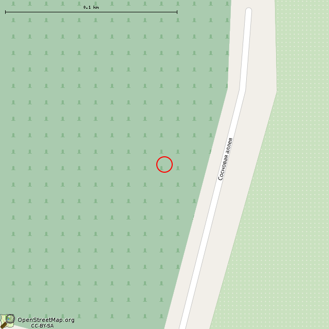 Карта где находится Братская могила советских воинов (Санкт-Петербург) в крупном масштабе