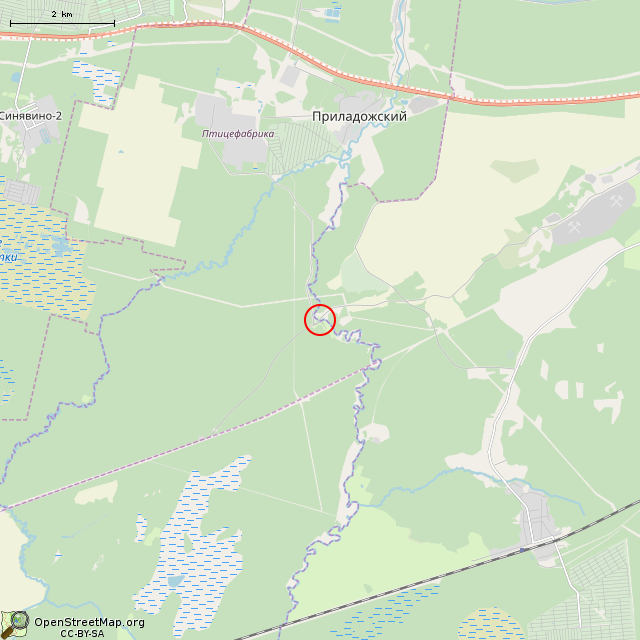 Карта где находится Опоры Моста (Приладожское городское поселение) в мелком масштабе