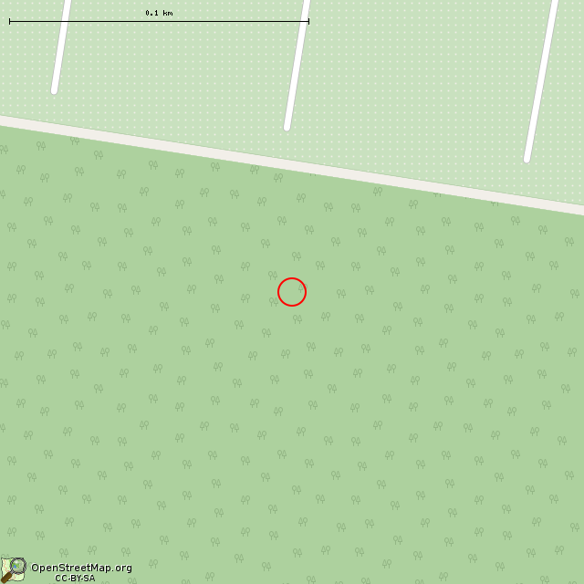 Карта где находится Камни в крупном масштабе