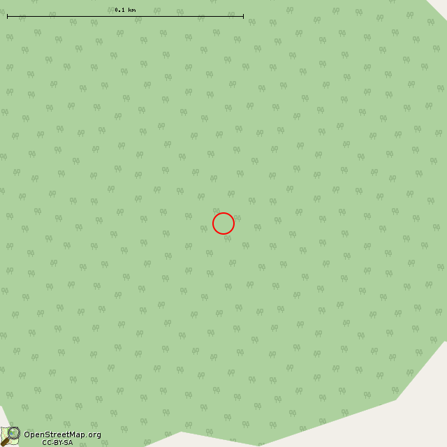 Карта где находится Заброшенный ПТН в крупном масштабе