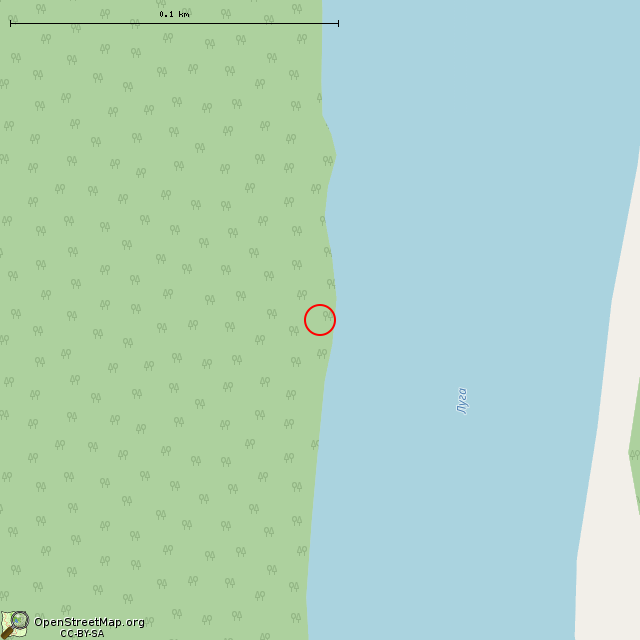 Карта где находится Рубежный камень по Столбовскому договору № 12 в крупном масштабе