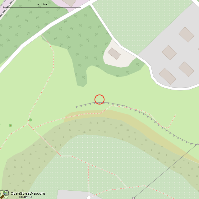 Карта где находится Сланцевая штольня (Кривой Рог) в крупном масштабе