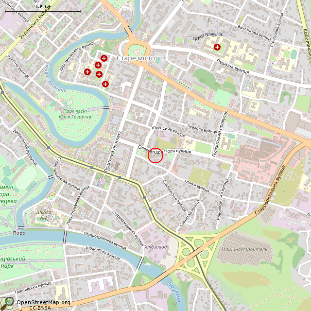 Карта где находится «Дом купца С. П. Переверзева» (Кривой Рог) в среднем масштабе