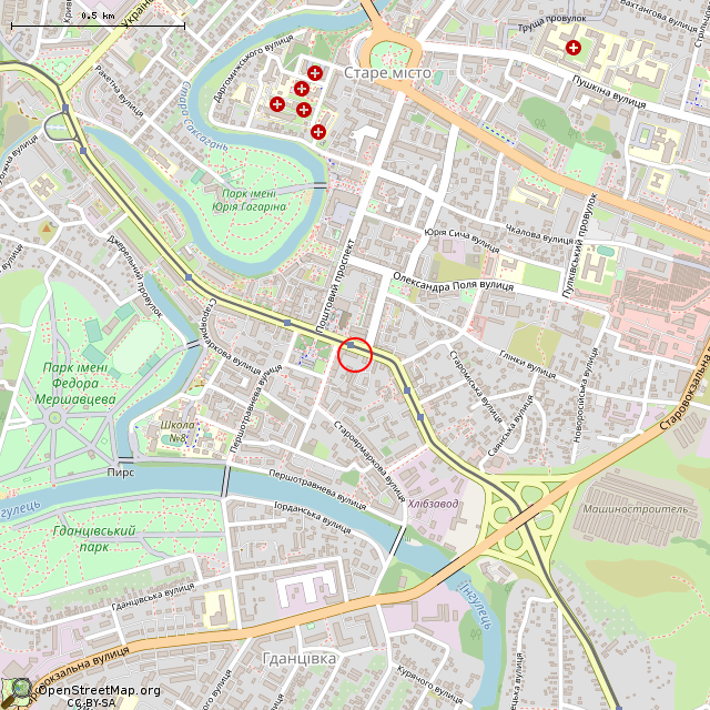 Карта где находится Дом доктора И. Е. Рехеса (Кривой Рог) в среднем масштабе
