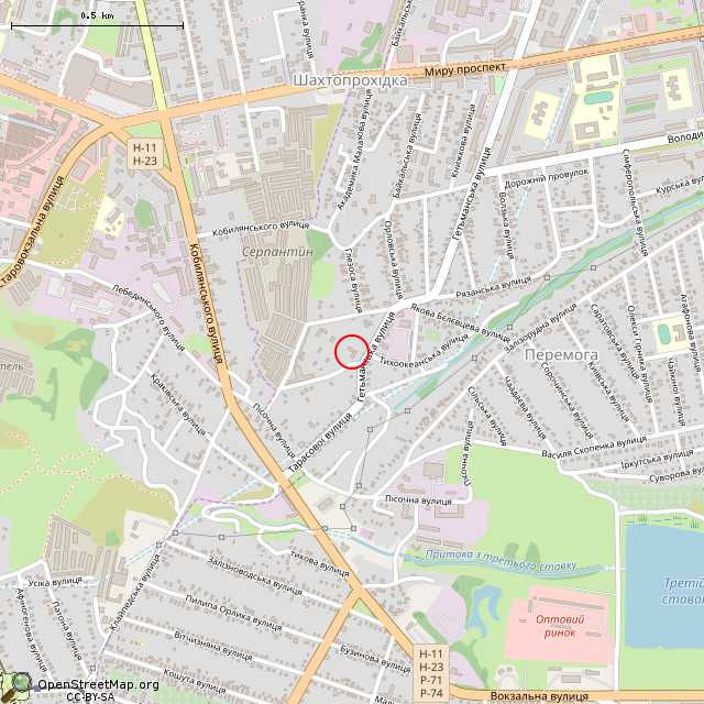 Карта где находится Дореволюционное здание (Кривой Рог)      | заброшенный, неиспользуемый объект, опасное место в среднем масштабе