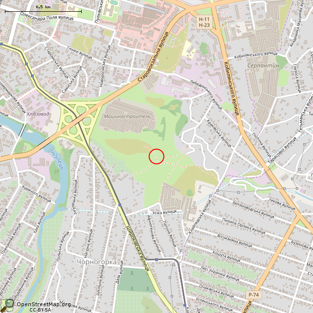 Карта где находится Отработанные карьеры Червоного пласта (Кривой Рог) в среднем масштабе