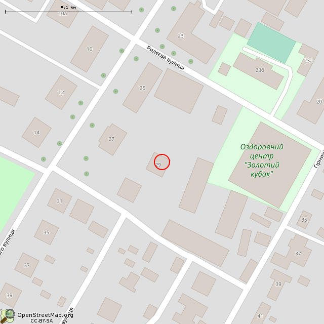 Карта где находится Бывшая поликлиника 1-го противотуберкулёзного диспансера (Кривой Рог) в крупном масштабе