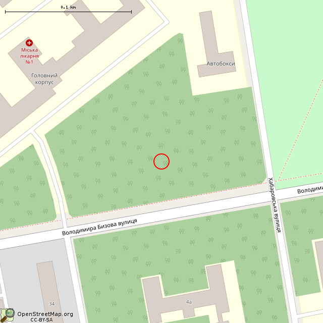 Карта где находится Бывший подземный гараж (Кривой Рог) в крупном масштабе