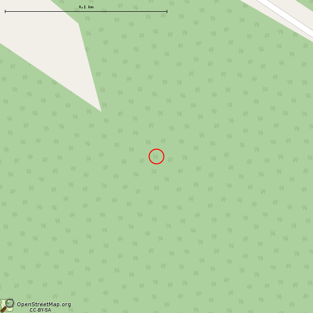 Карта где находится ЛОТ № 05 КингУР в крупном масштабе